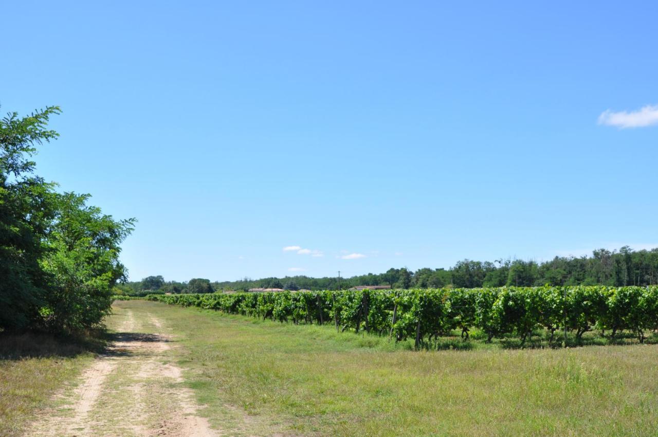 Clos San Gianni Pujols-sur-Ciron Luaran gambar